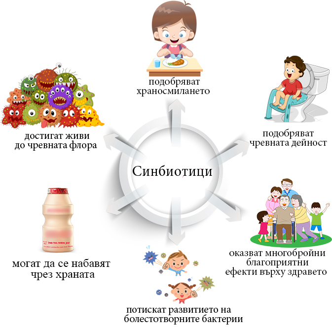 свойства на синбиотиците